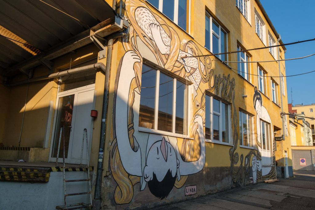 Campus Fehrer Bildmaterial